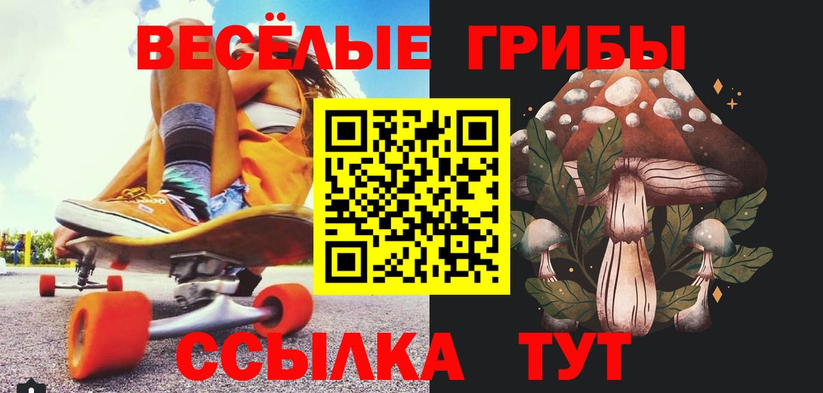 Галлюциногенные грибы мицелий Москва
