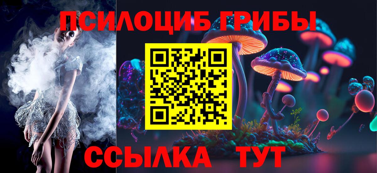 Москва  Псилоцибиновые грибы Psilocybe  Вход с VPN 
